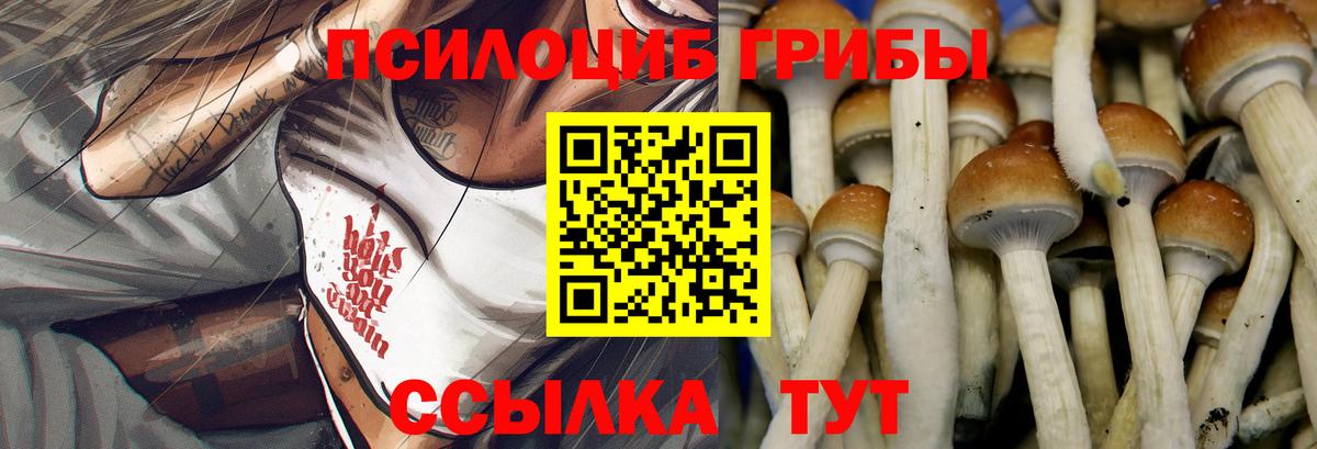 Обь  Псилоцибиновые грибы Psilocybine cubensis  Вход с VPN 